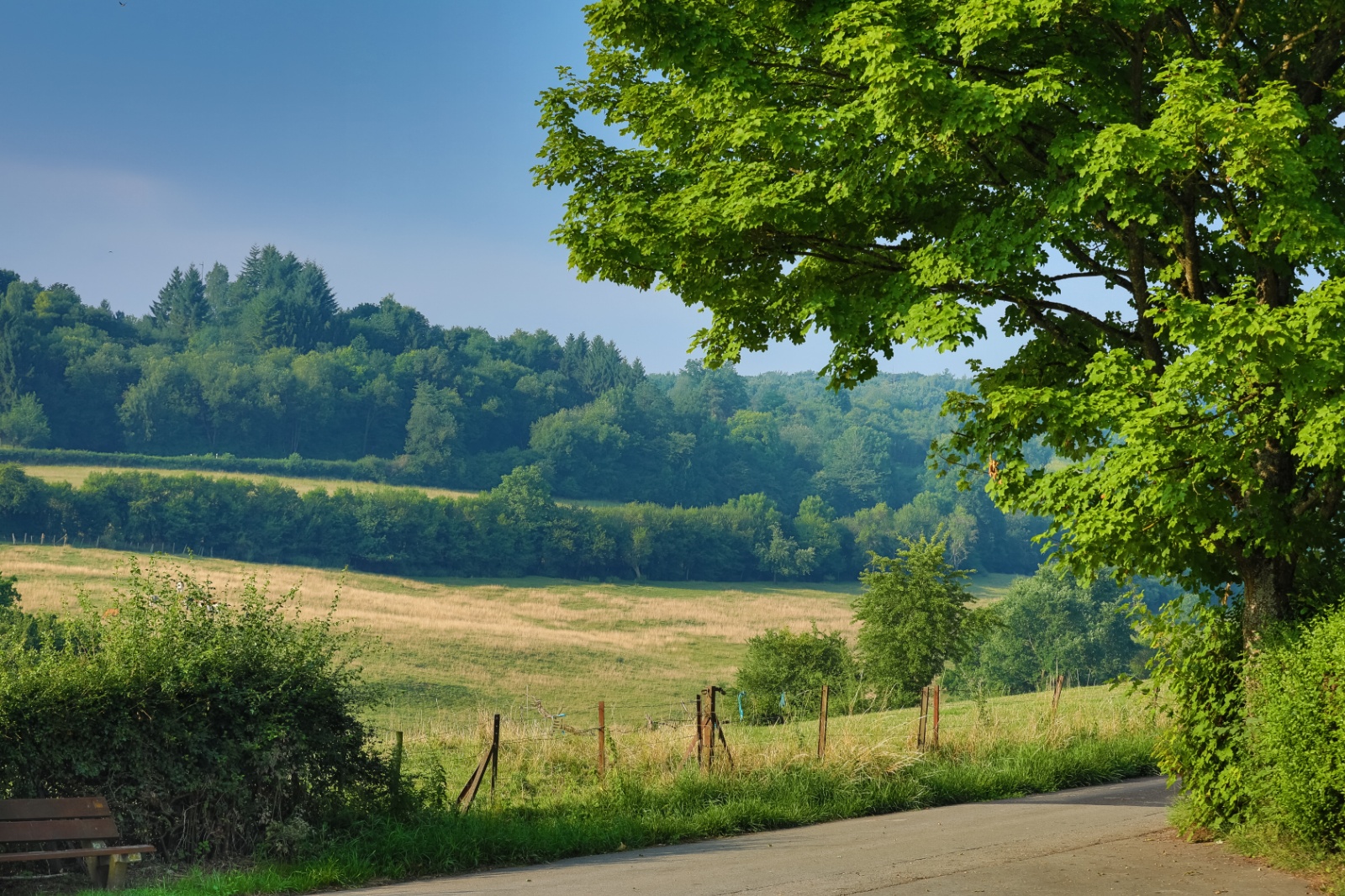 Site web kf 2018  (5)